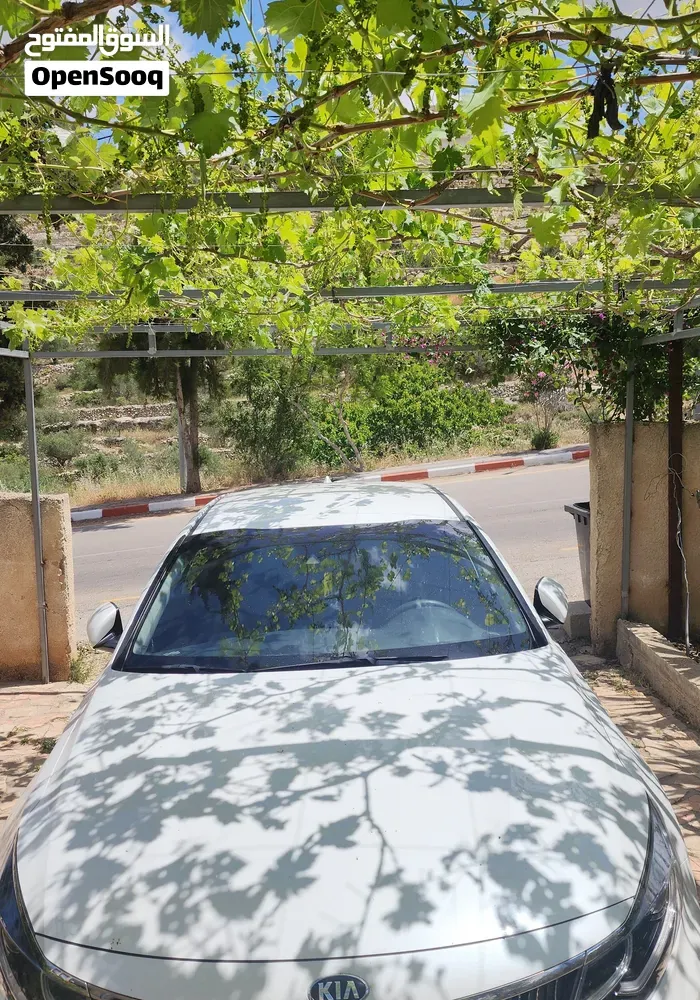 Kia K5 2019 photo 4
