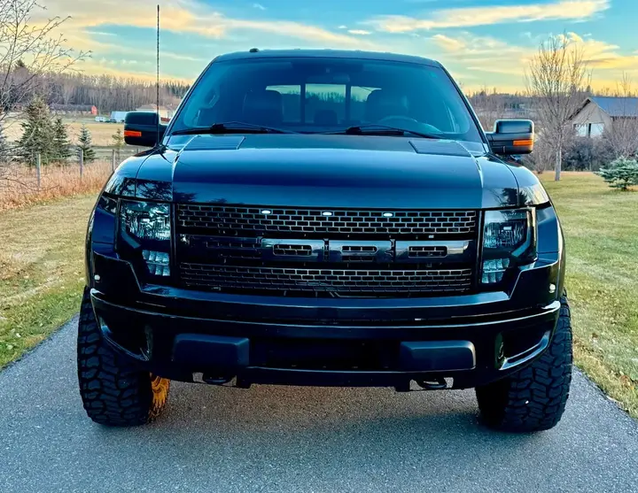 Ford F-150 2014 photo 2