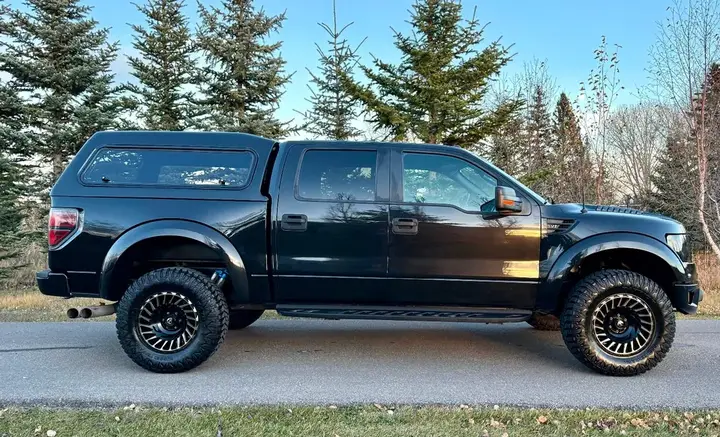 Ford F-150 2014 photo 5