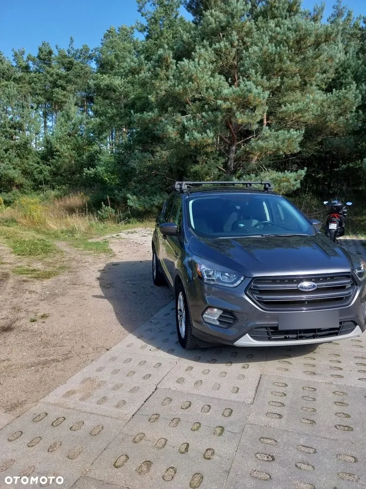 Ford Escape 2019 photo 3