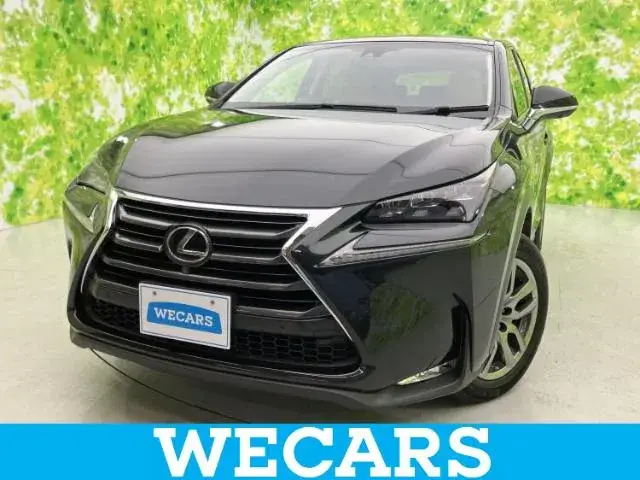 Lexus Nx 2016 photo 2