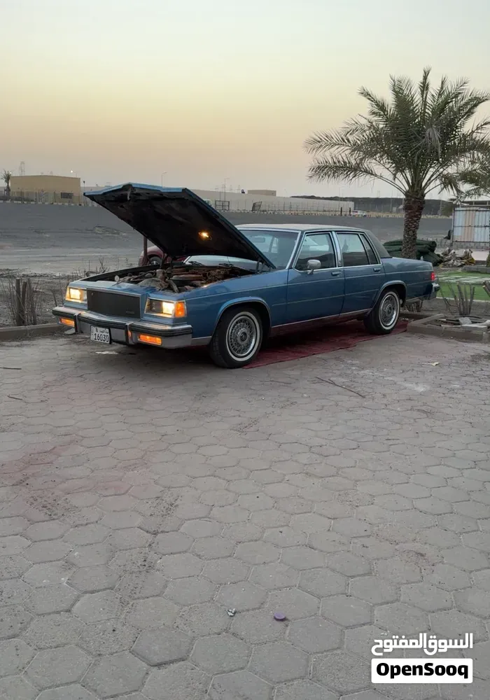 Buick Other 1984 photo 3