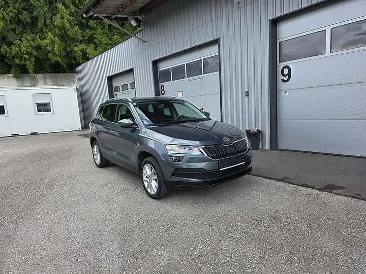 Skoda Karoq 2019 photo 2