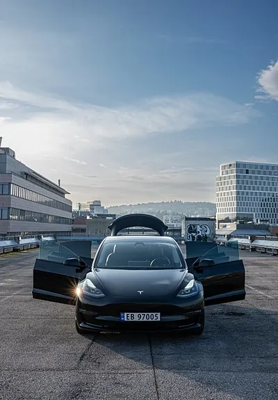 Tesla Model 3 2021 photo 5