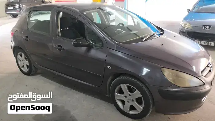 Peugeot 307 2004 photo 3