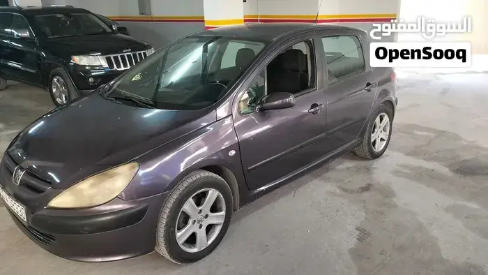 Peugeot 307 2004 photo 2