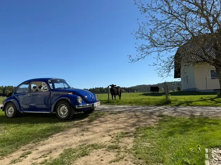 Volkswagen Käfer