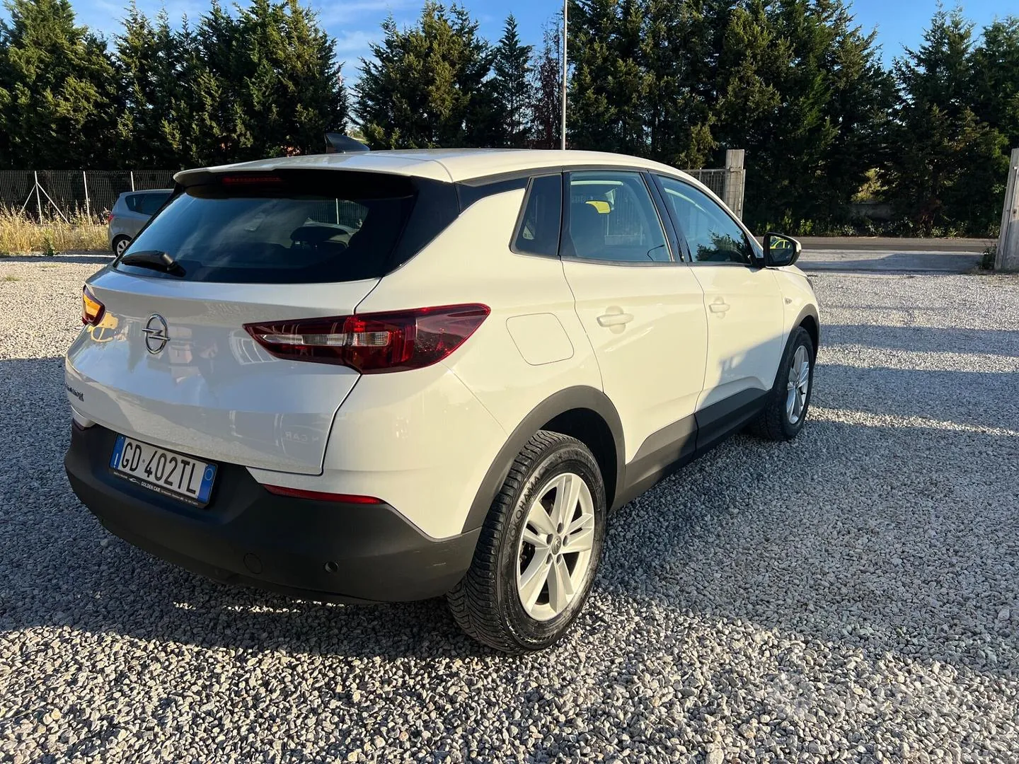 Opel Grandland 2020 photo 4