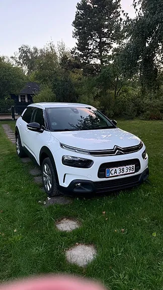 Citroen C4 Cactus 2018 photo 2
