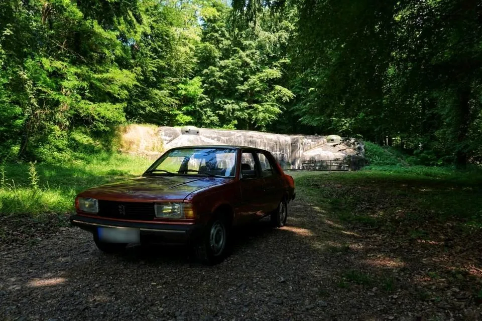 Peugeot 305