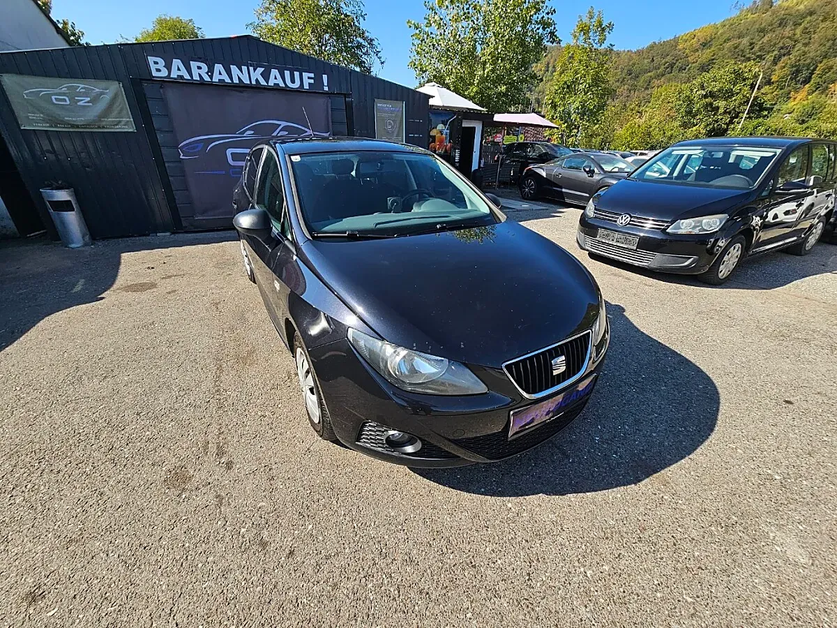 Seat Ibiza 2010 photo 2