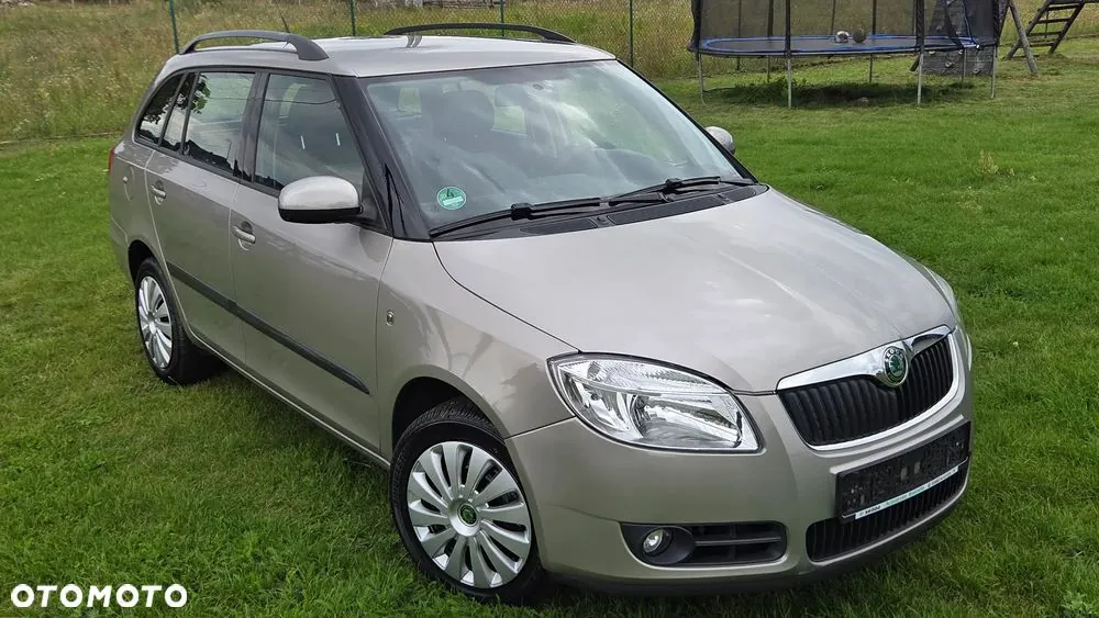 Skoda Fabia 2009 photo 2