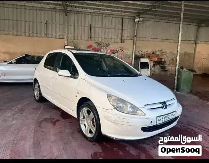 Peugeot 307 2005 photo 2