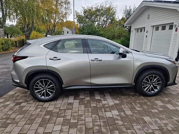 Lexus Nx350H 2024 photo 3