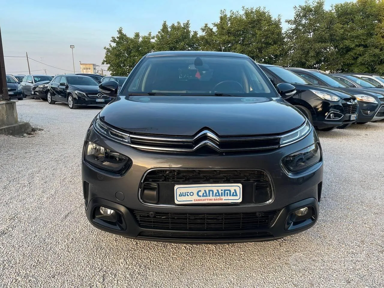 Citroen C4 Cactus 2019 photo 2