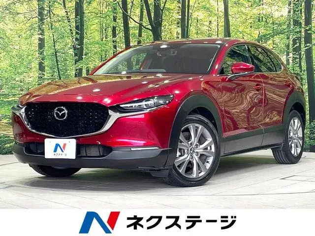 Mitsubishi Cx-30