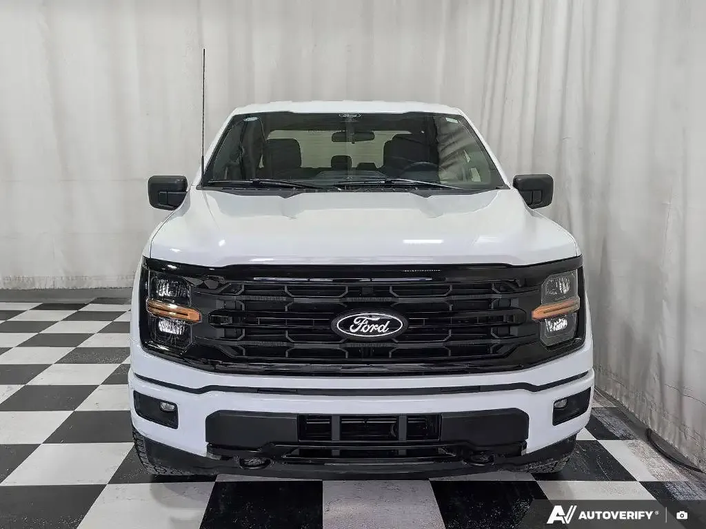 Ford F-150 2025 photo 2