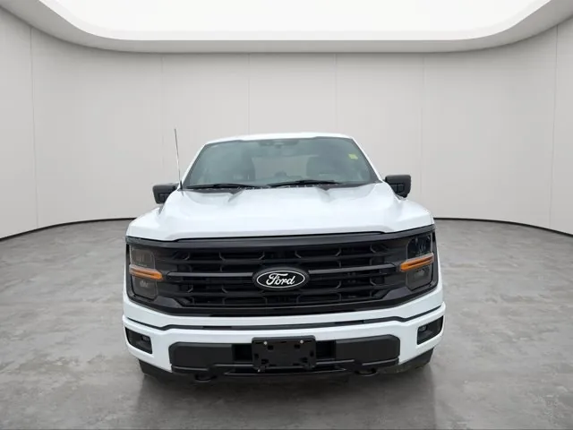 Ford F-150 2024 photo 2