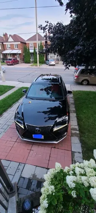 Lexus Nx 300 2019 photo 2