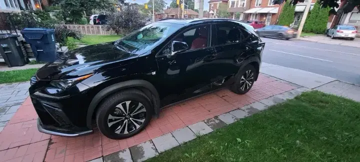 Lexus Nx 300 2019 photo 3