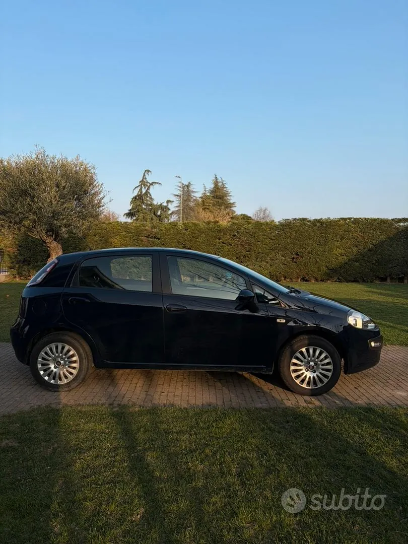 Fiat Punto Evo 2013 photo 2