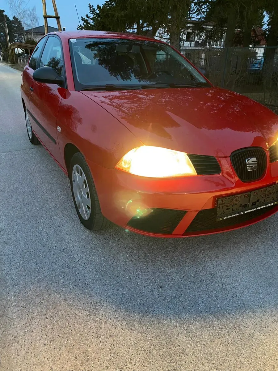 Seat Ibiza 2006 photo 2
