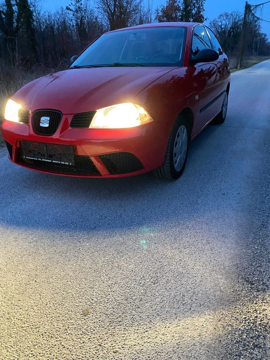 Seat Ibiza 2006 photo 3