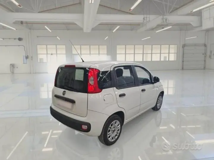Fiat Panda 2019 photo 2
