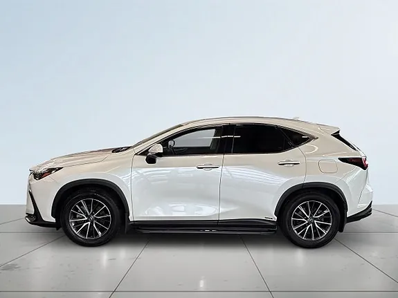 Lexus Nx350H 2024 photo 4