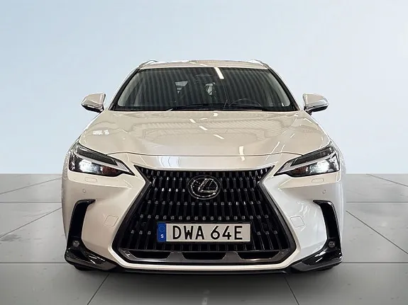 Lexus Nx350H 2024 photo 2