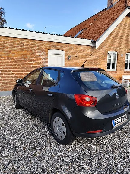 Seat Ibiza 2010 photo 4