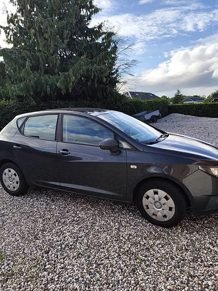 Seat Ibiza 2010 photo 3