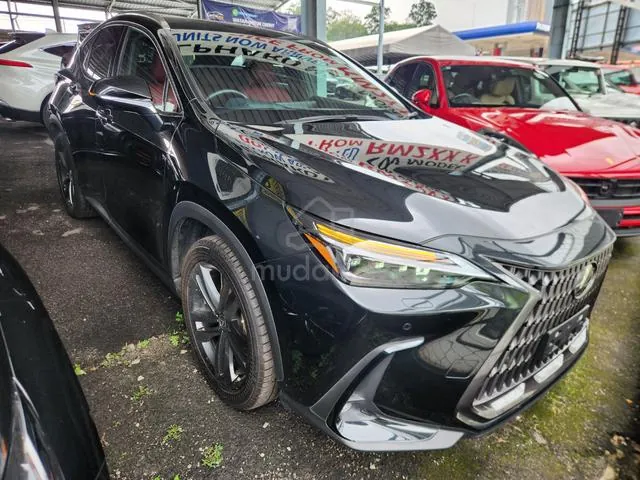 Lexus Nx250