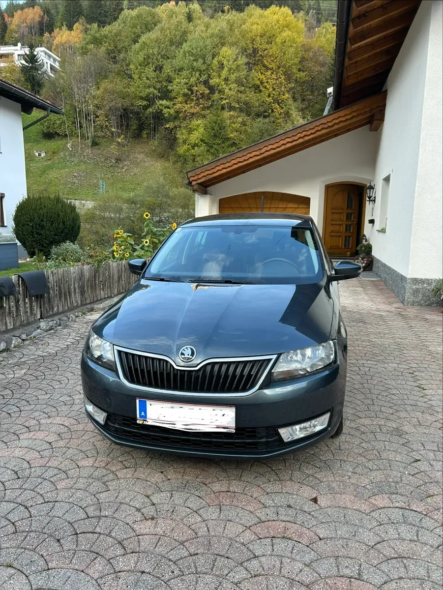 Skoda Rapid 2016 photo 3