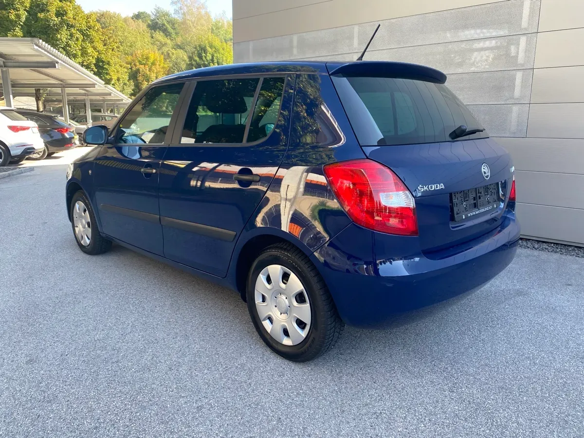 Skoda Fabia 2014 photo 2