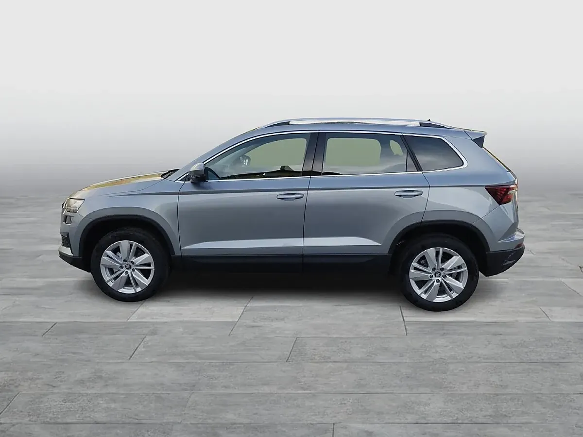 Skoda Karoq 2026 photo 2