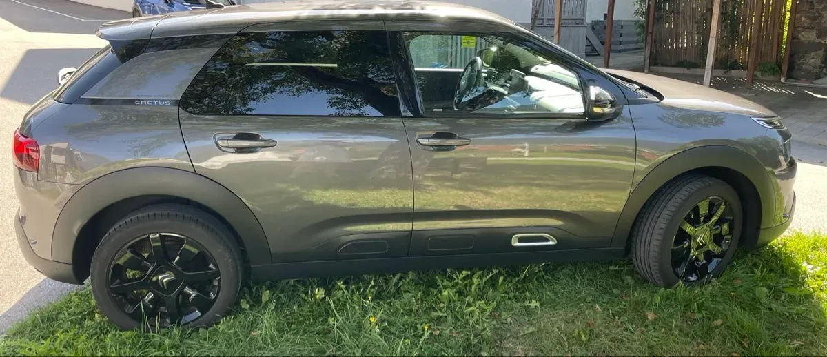 Citroen C4 Cactus 2019 photo 2
