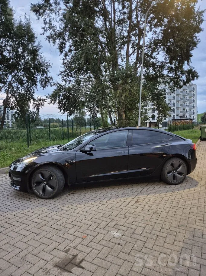 Tesla Model 3 2019 photo 2