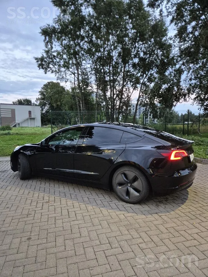 Tesla Model 3 2019 photo 3