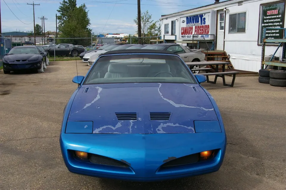Pontiac Firebird 1992 photo 2