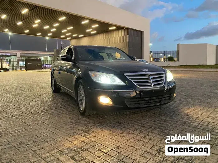 Genesis Sonata 2010 photo 3