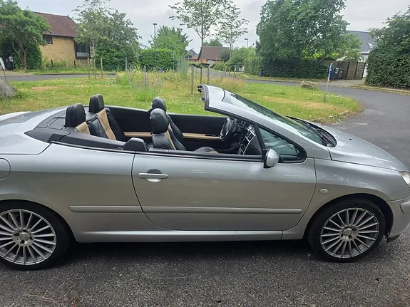 Peugeot 307 2004 photo 2