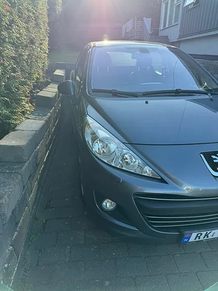 Peugeot 207 2010 photo 4