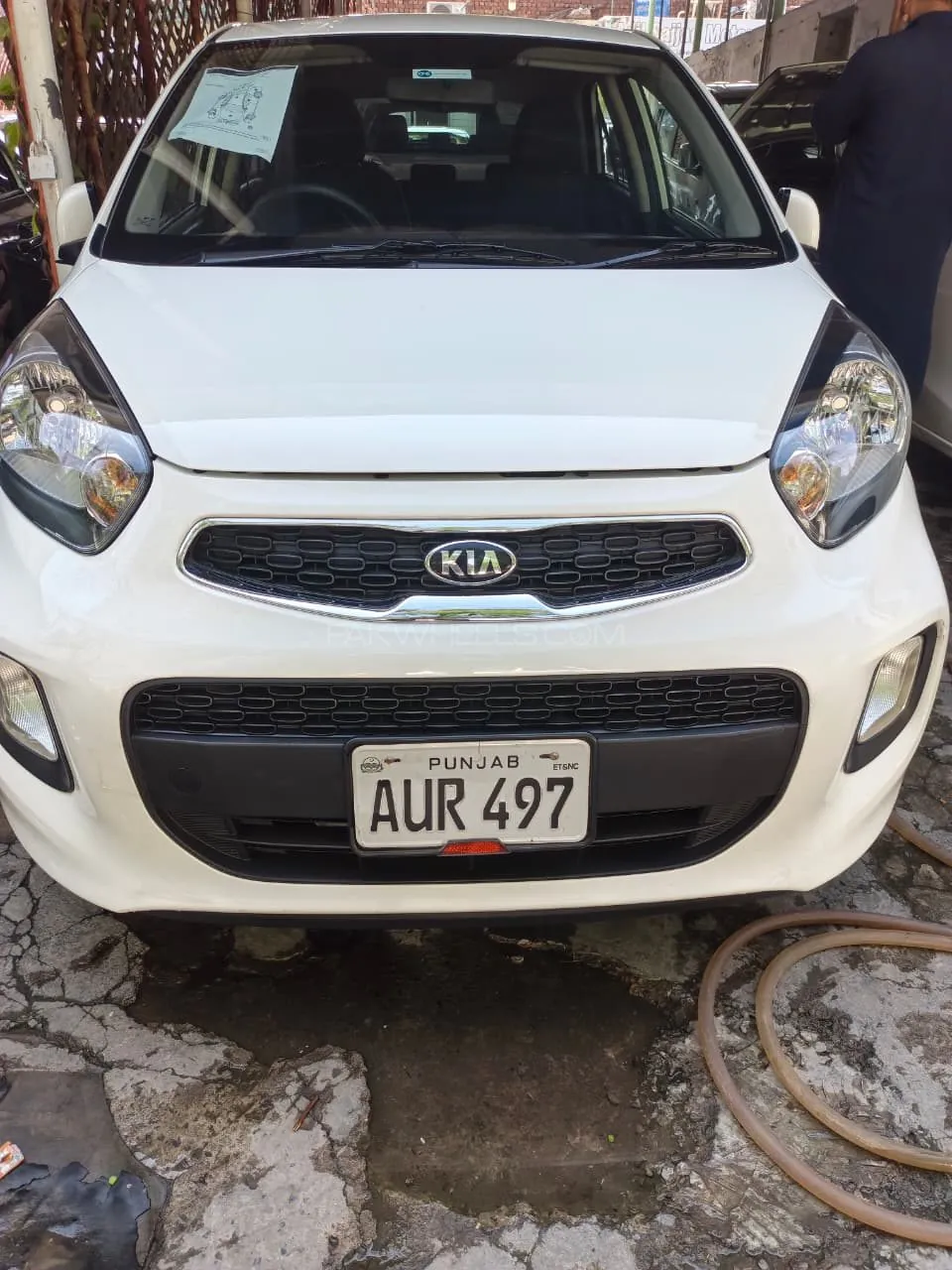 Kia Picanto