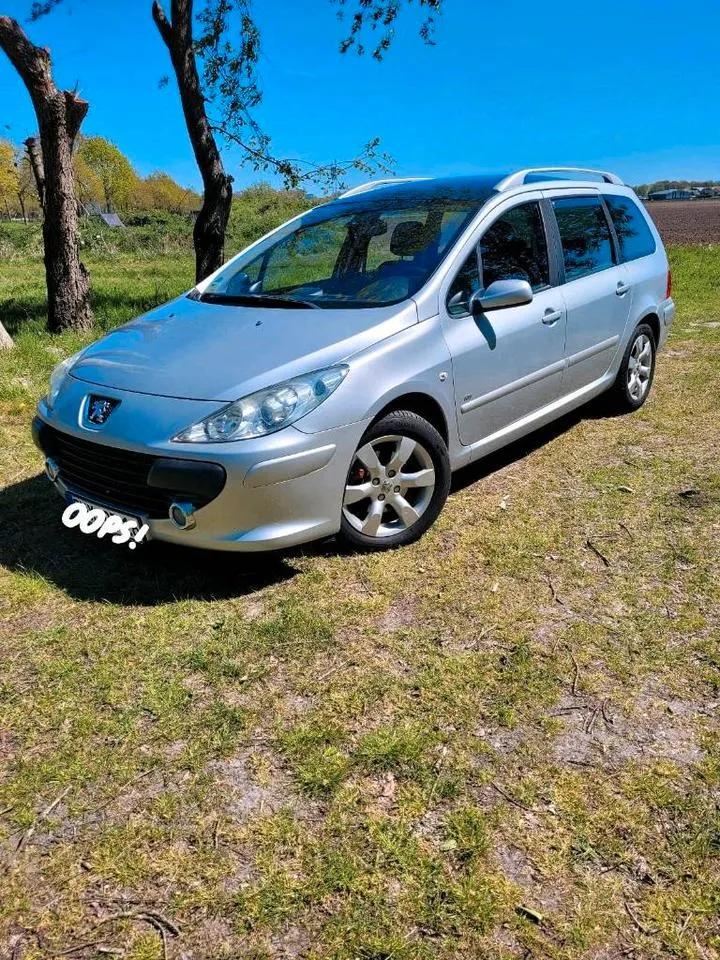 Peugeot 307 Sw