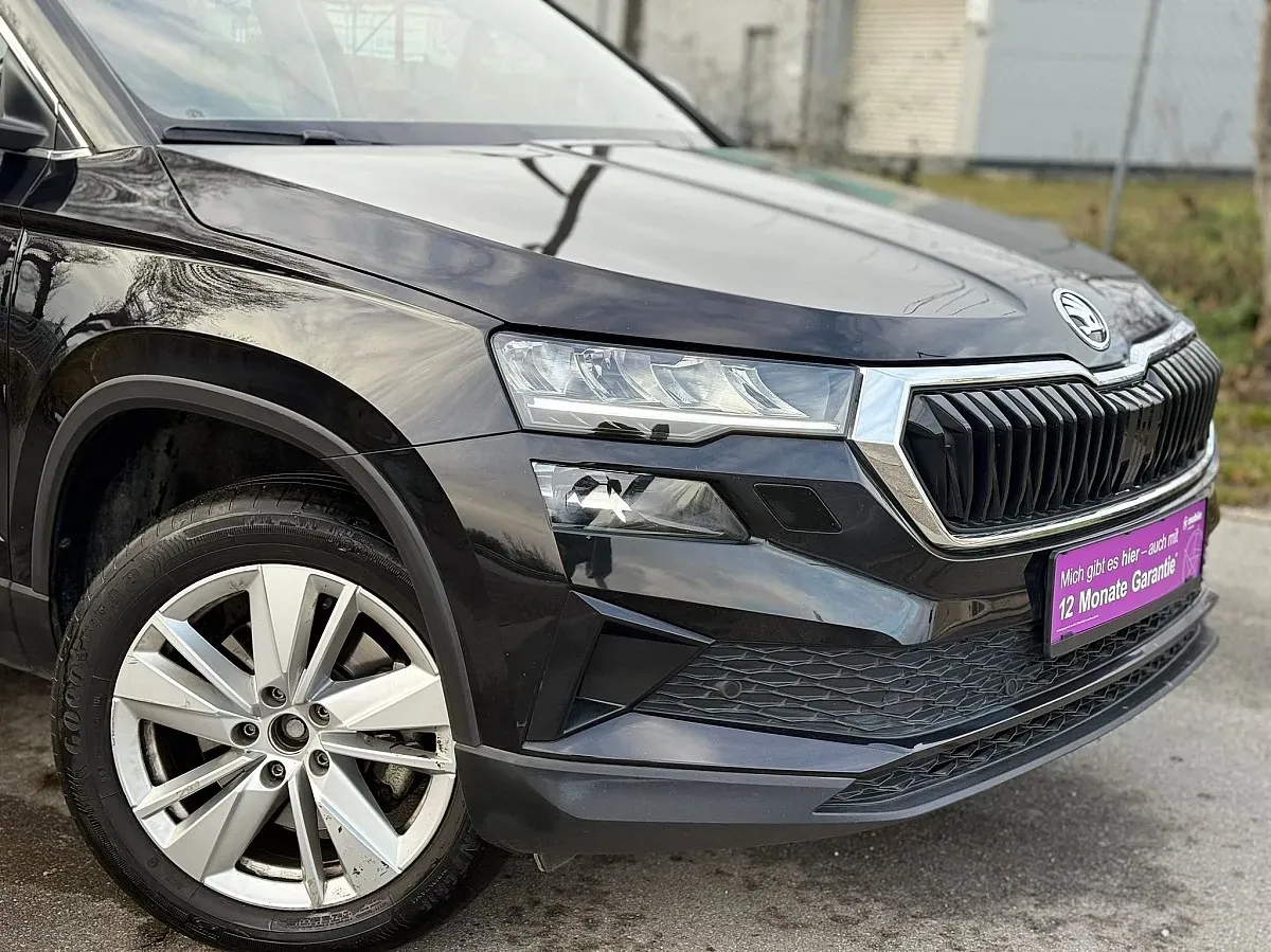 Skoda Karoq 2023 photo 4