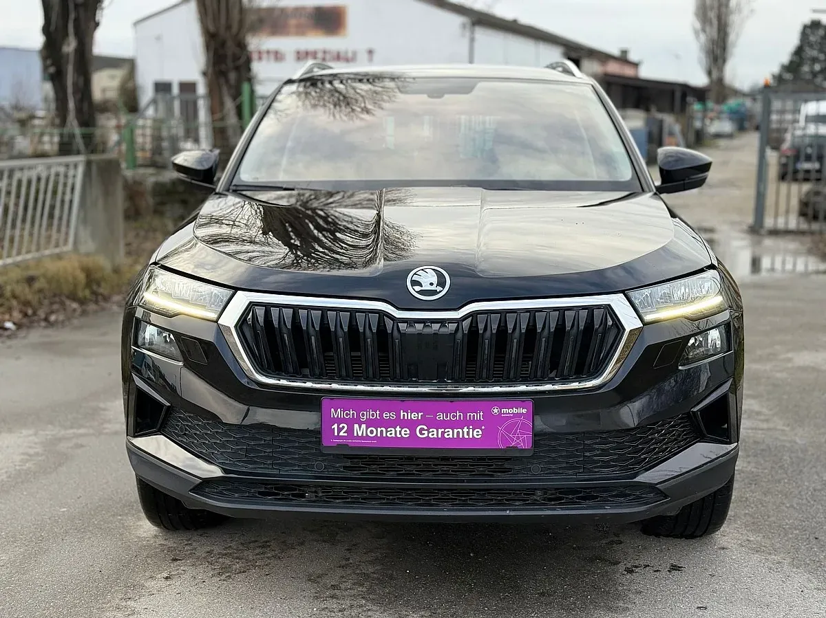 Skoda Karoq 2023 photo 2