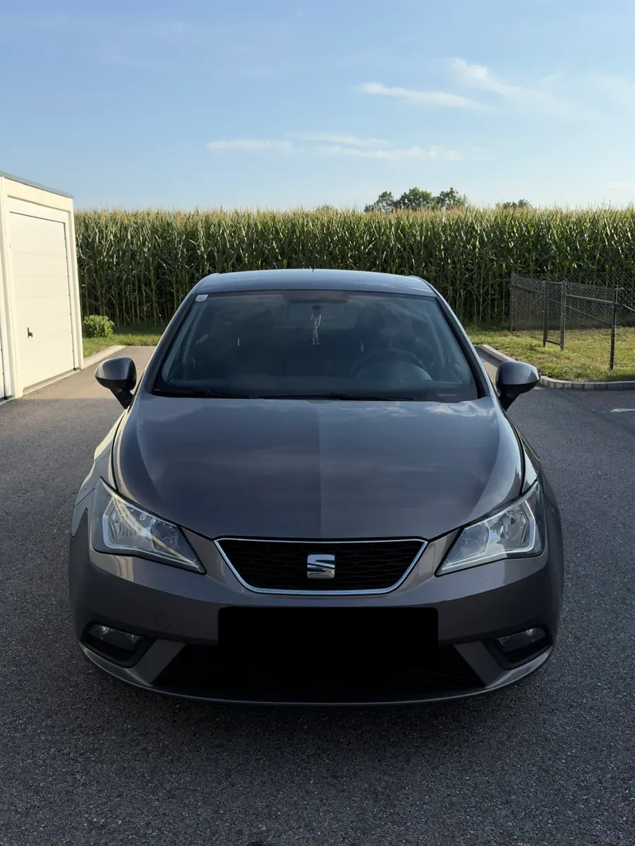 Seat Ibiza 2015 photo 2