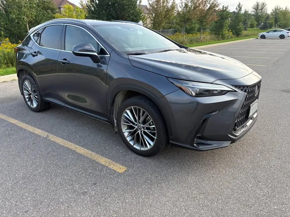 Lexus Nx 350 2022 photo 4