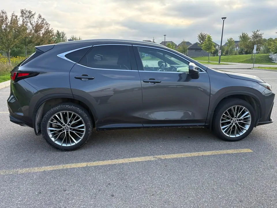 Lexus Nx 350 2022 photo 3